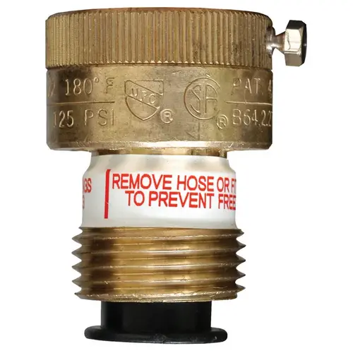 Cash Acme 19600-0000 Backflow Preventer VB-222 3/4" FPT X 3/4" MHT Brass