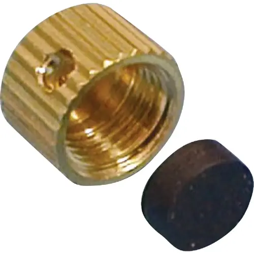 PROLINE 888-352 Large Brass Drain Cap