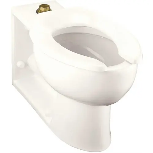 Kohler K-4386-0 Anglesey Elongated Toilet Bowl Only in White