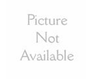 Smart Savers HV063-XCP12 13 In. Polypropylene Bristle Toilet Bowl Brush - pack of 12